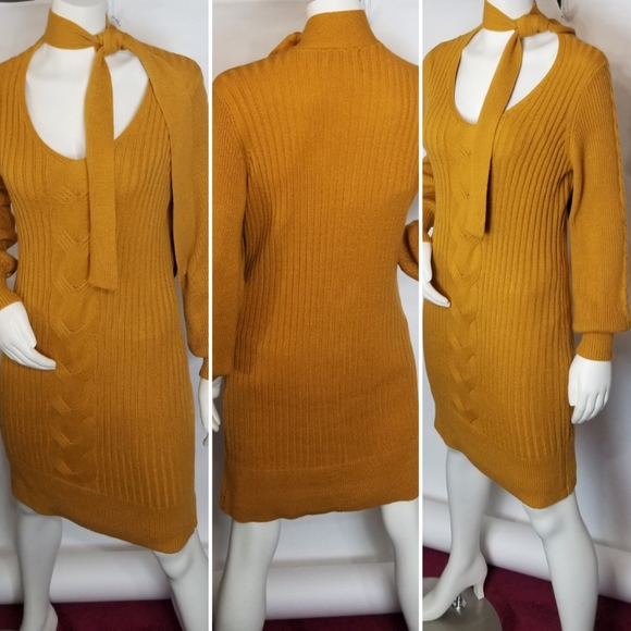 Ribbed Knit Sweater Dress - Picture 3 of 7